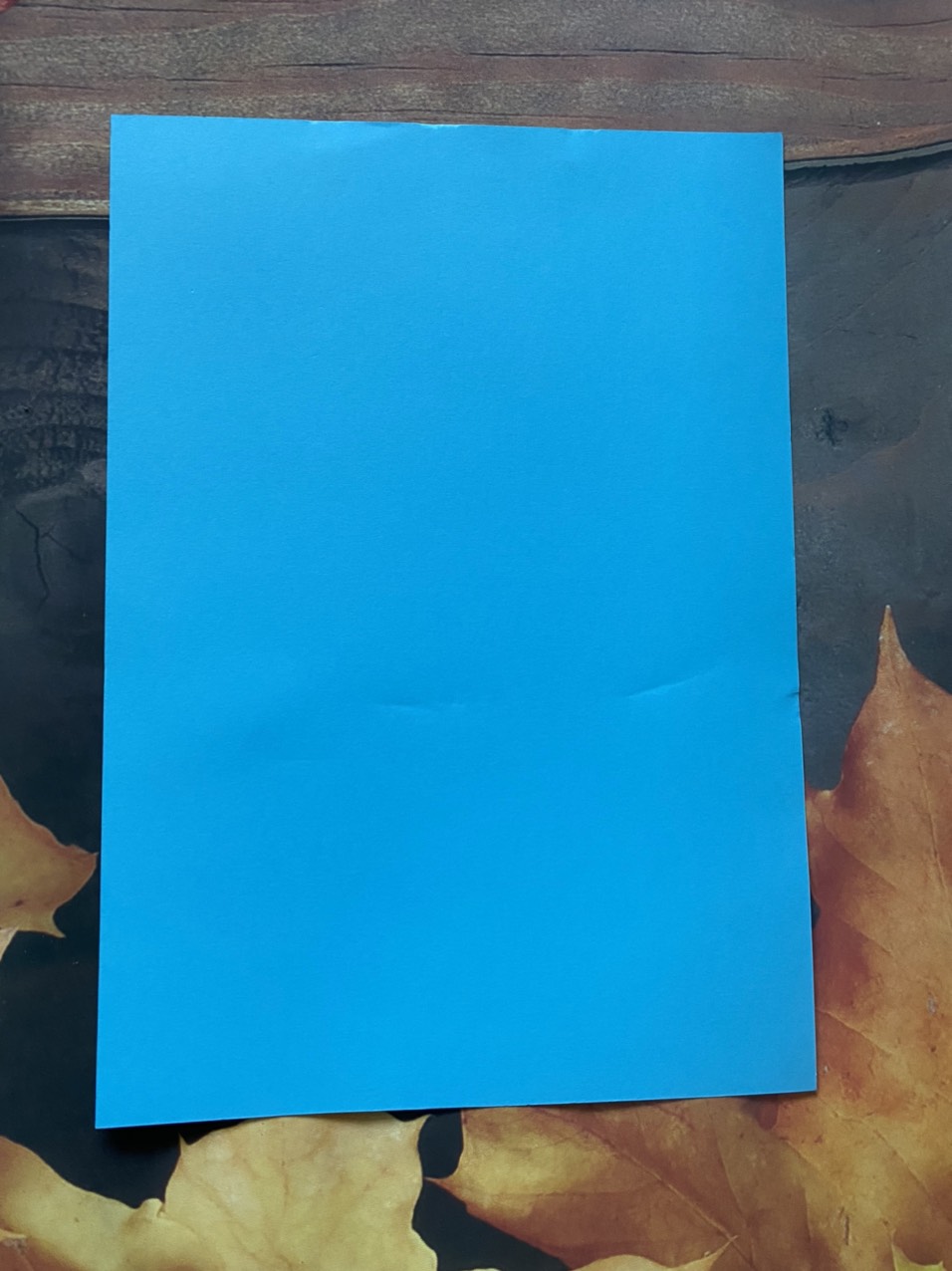 Bìa Màu Xanh Ngọc A4